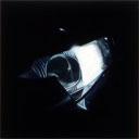 Thumbnail of image Passenger Headlamp (Damaged)